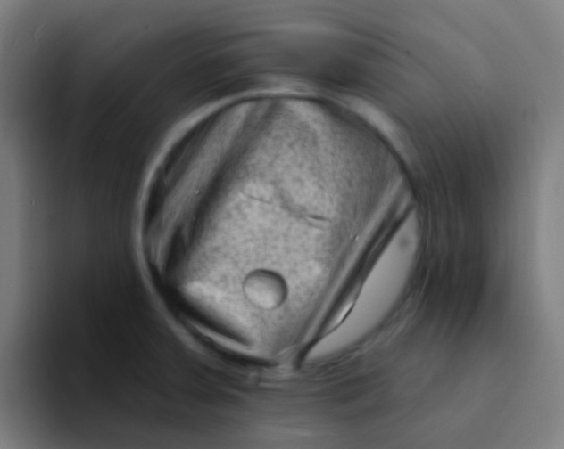 X0000094331379200711161941
