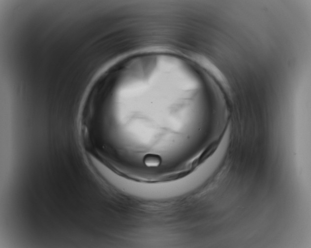 X0000094331380200711161941