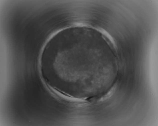 X0000094331381200711161941
