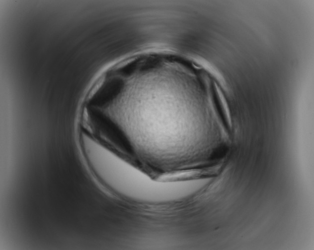 X0000094331383200711161941