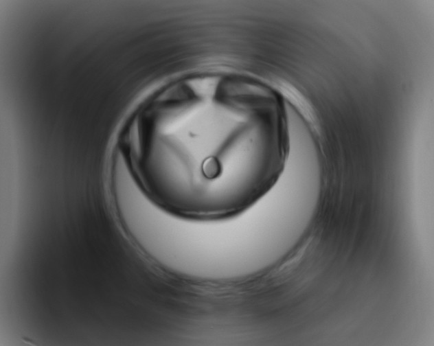 X0000094331384200711161941