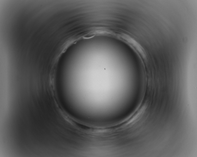 X0000094331385200711161941