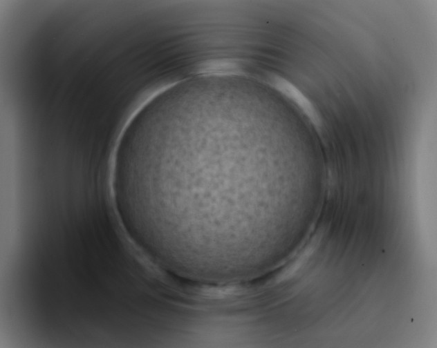 X0000094331386200711161941