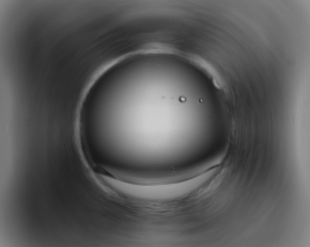 X0000094331387200711161941