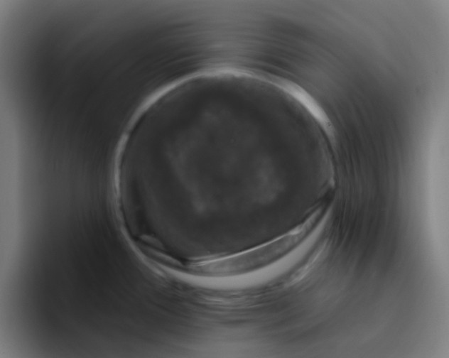 X0000094331388200711161941
