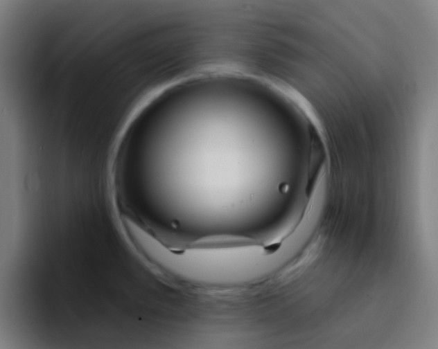 X0000094331389200711161941