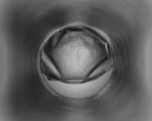 X0000094331390200711161941