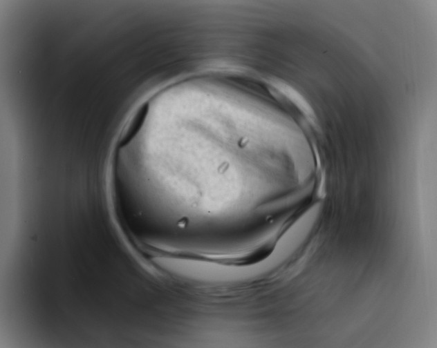 X0000094331391200711161941