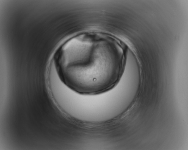 X0000094331392200711161941