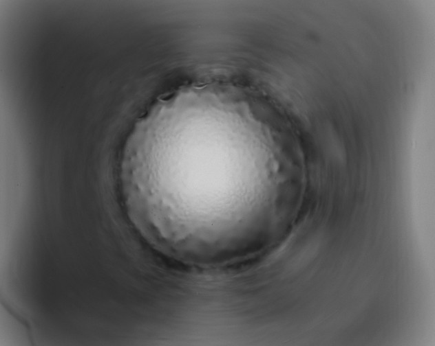X0000094331393200711161940