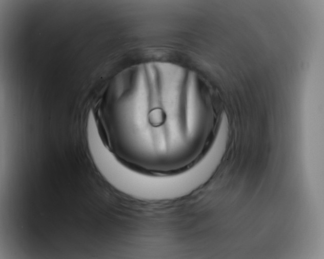 X0000094331394200711161940
