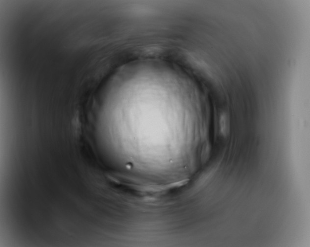X0000094331395200711161940