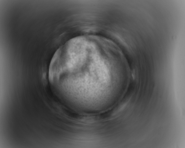 X0000094331396200711161940