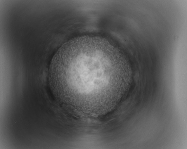 X0000094331397200711161940