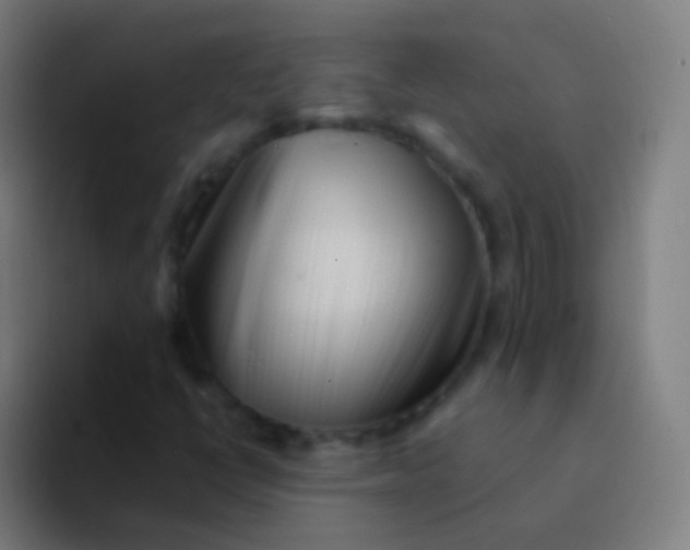 X0000094331398200711161940