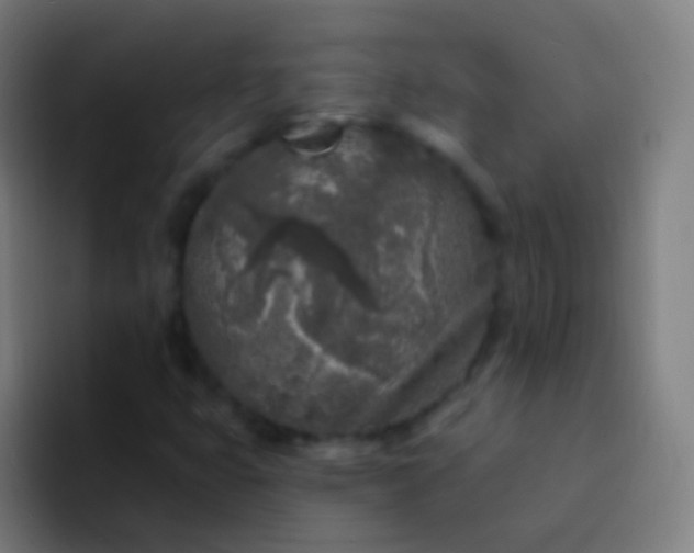 X0000094331399200711161940