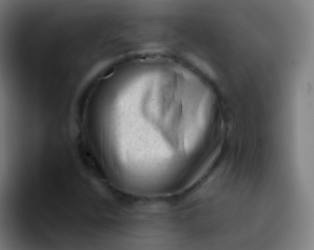 X0000094331400200711161940