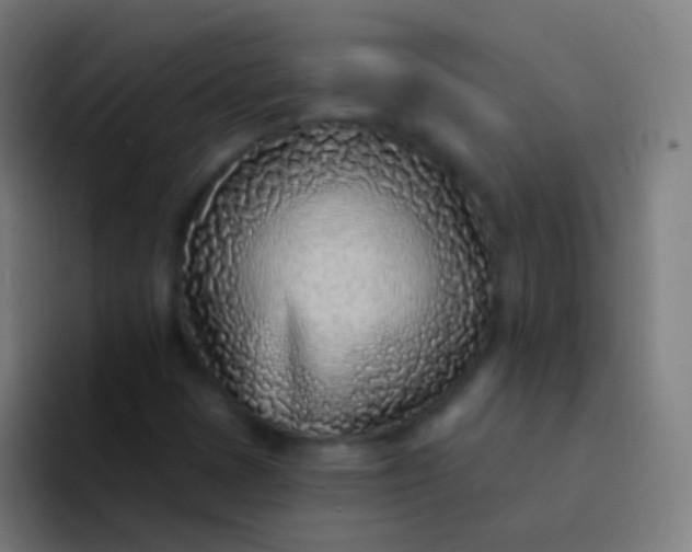 X0000094331401200711161940