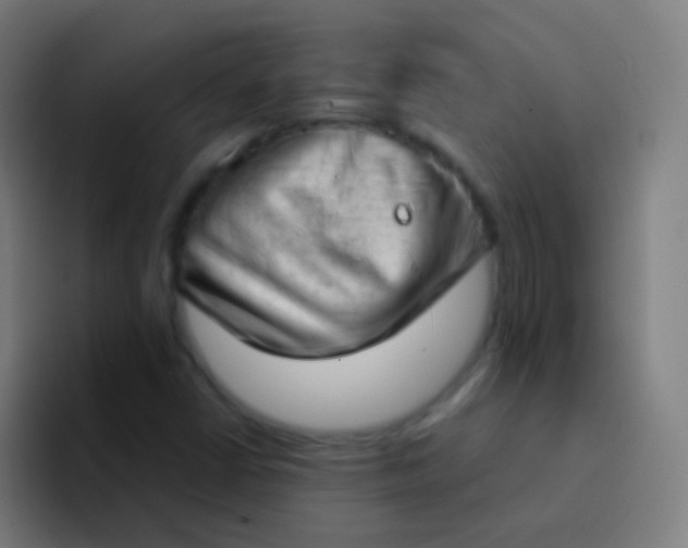 X0000094331402200711161940
