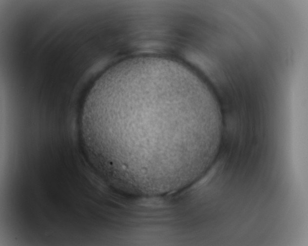 X0000094331403200711161940