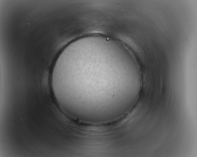 X0000094331404200711161940