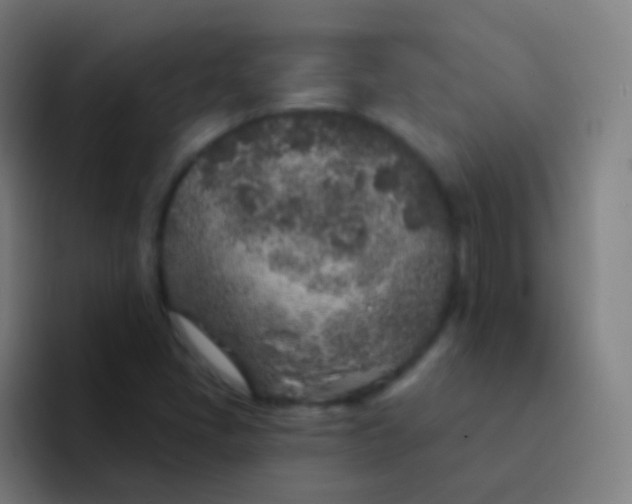 X0000094331405200711161940