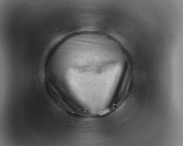 X0000094331406200711161940