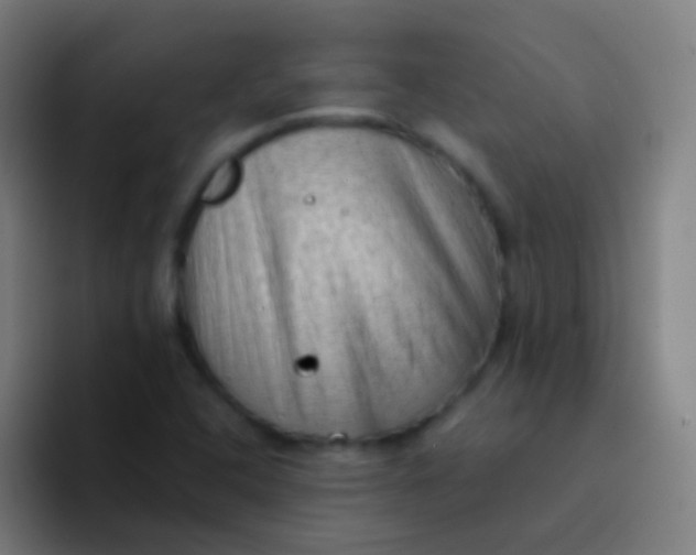 X0000094331408200711161940