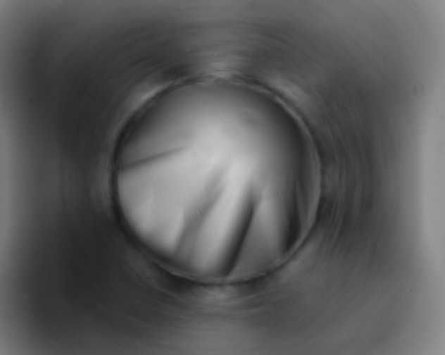 X0000094331410200711161940
