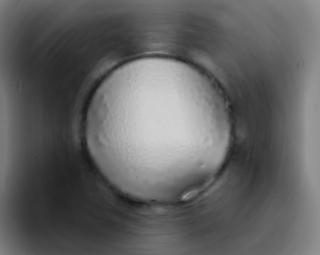 X0000094331411200711161940