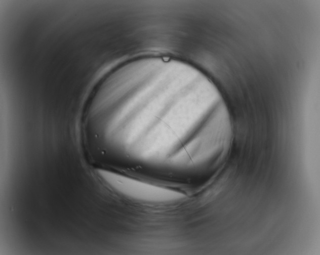 X0000094331412200711161940
