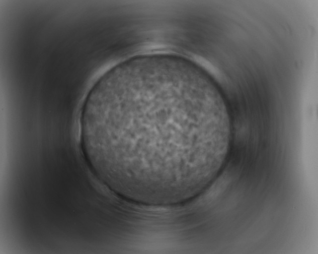 X0000094331413200711161940