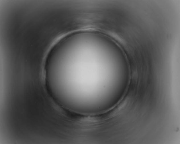 X0000094331414200711161940