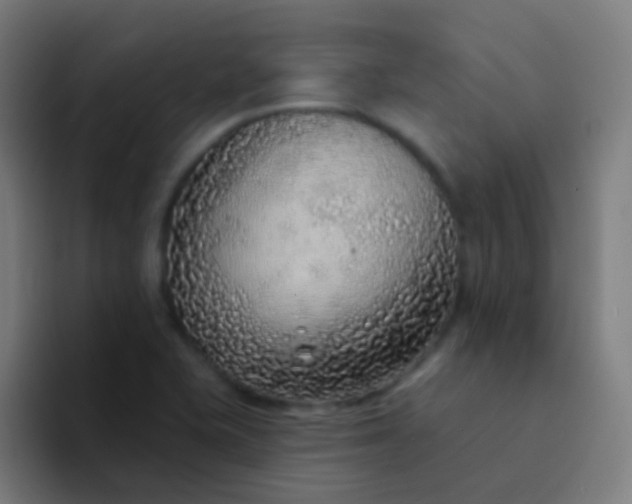 X0000094331415200711161940