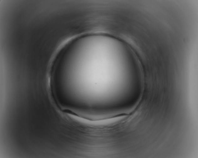 X0000094331416200711161941
