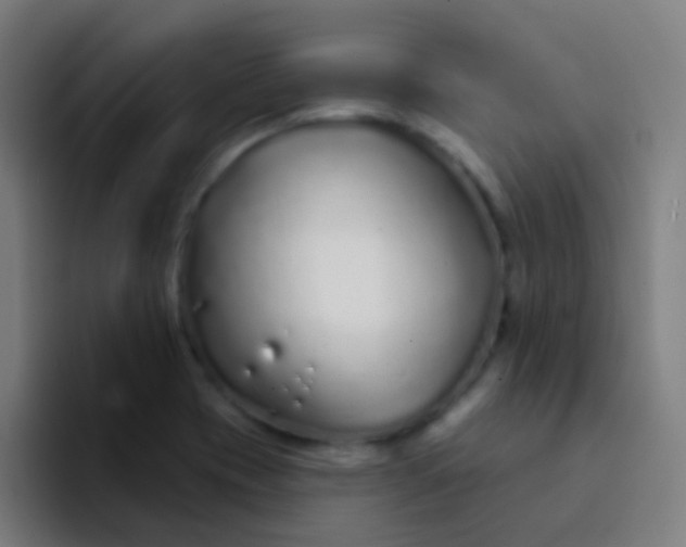 X0000094331417200711161941