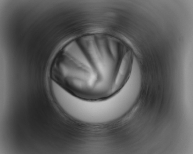 X0000094331418200711161941