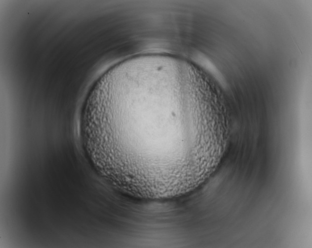 X0000094331419200711161941