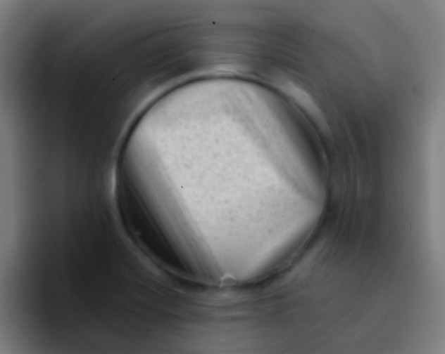 X0000094331420200711161941