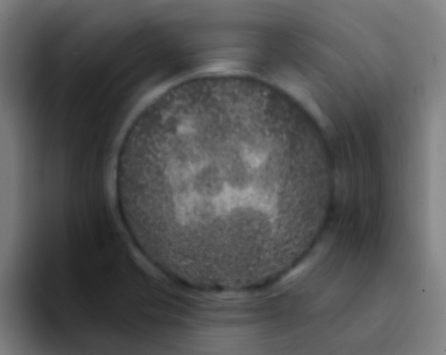 X0000094331421200711161941