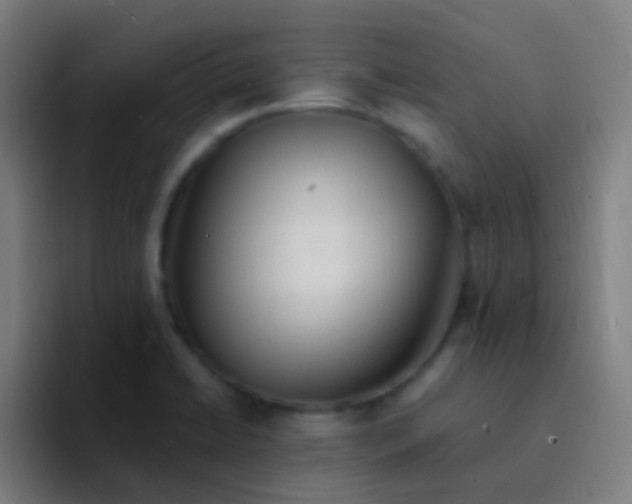 X0000094331422200711161941