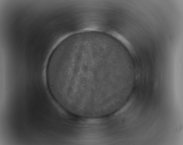X0000094331423200711161941