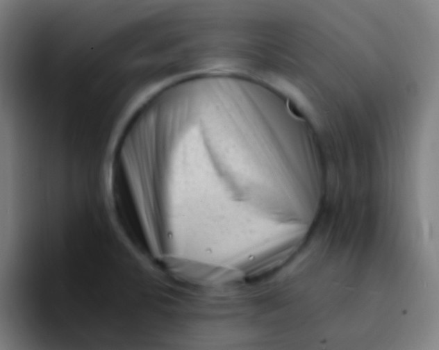 X0000094331424200711161941