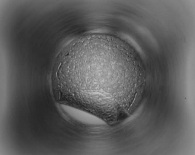 X0000094331425200711161941