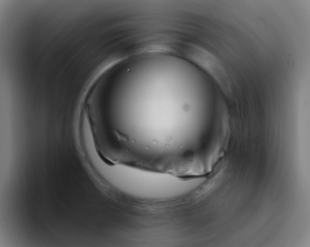 X0000094331426200711161941