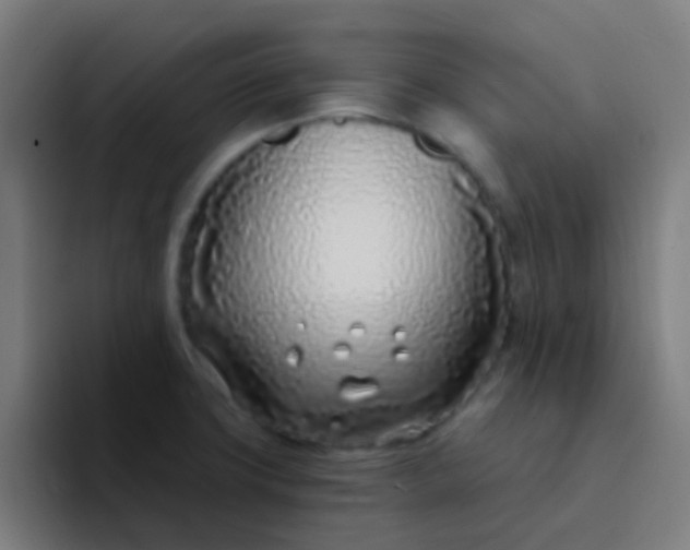 X0000094331427200711161941