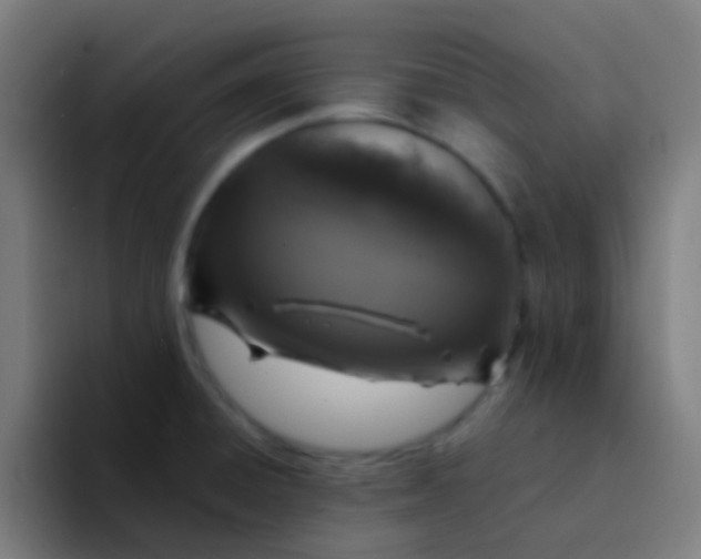 X0000094331428200711161941
