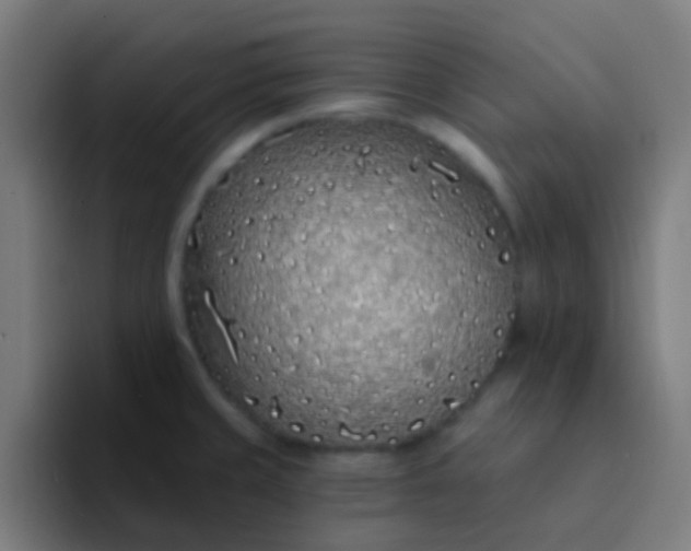 X0000094331429200711161941