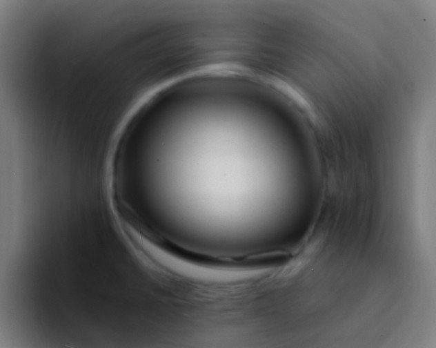 X0000094331430200711161941