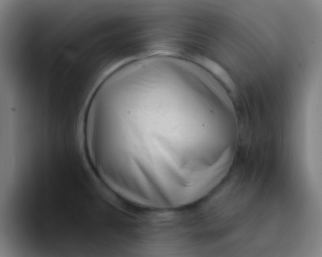 X0000094331431200711161941